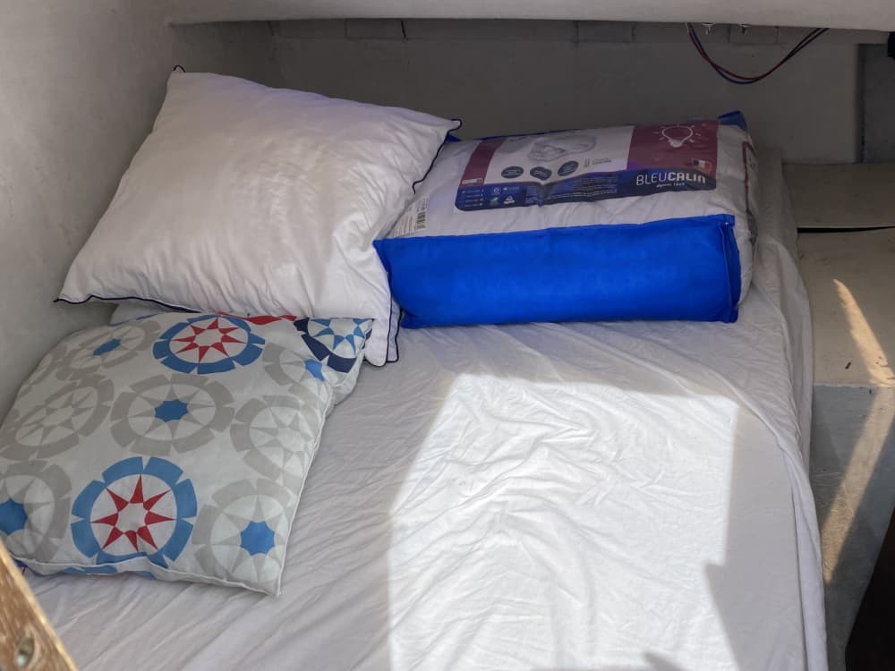 Profitez d'une journée en mer à Roscoff à bord d'un catamaran