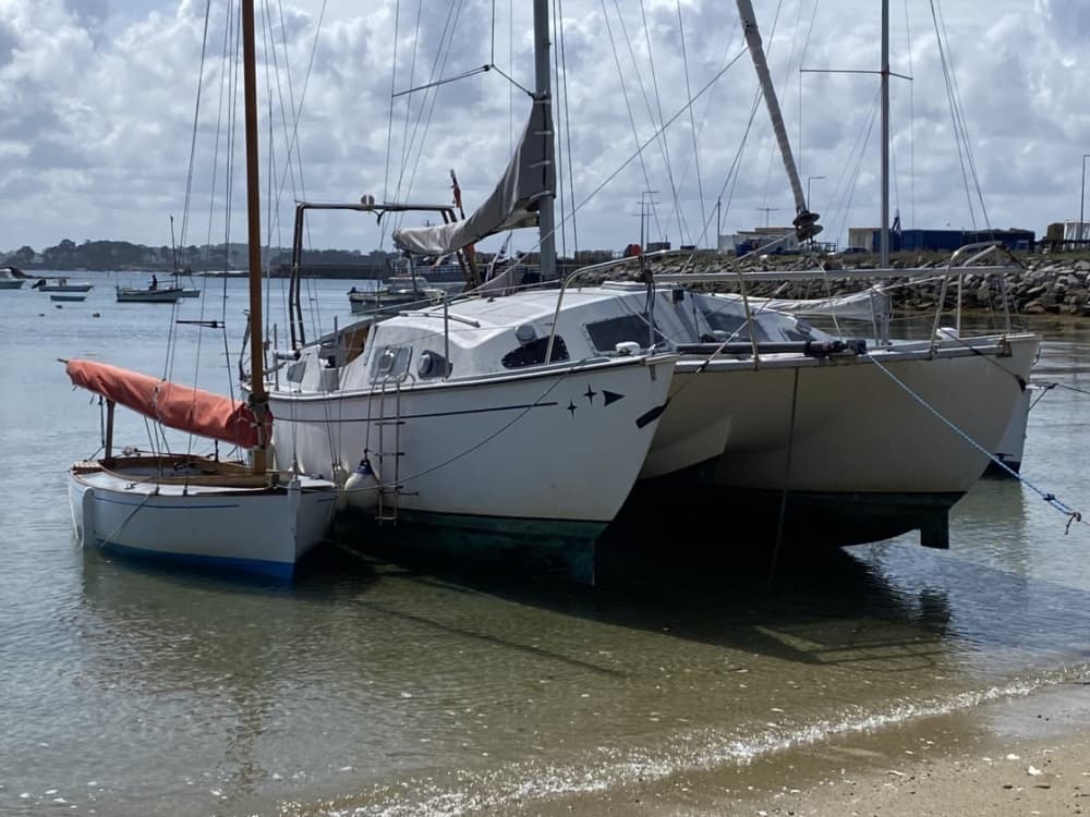 Profitez d'une journée en mer à Roscoff à bord d'un catamaran
