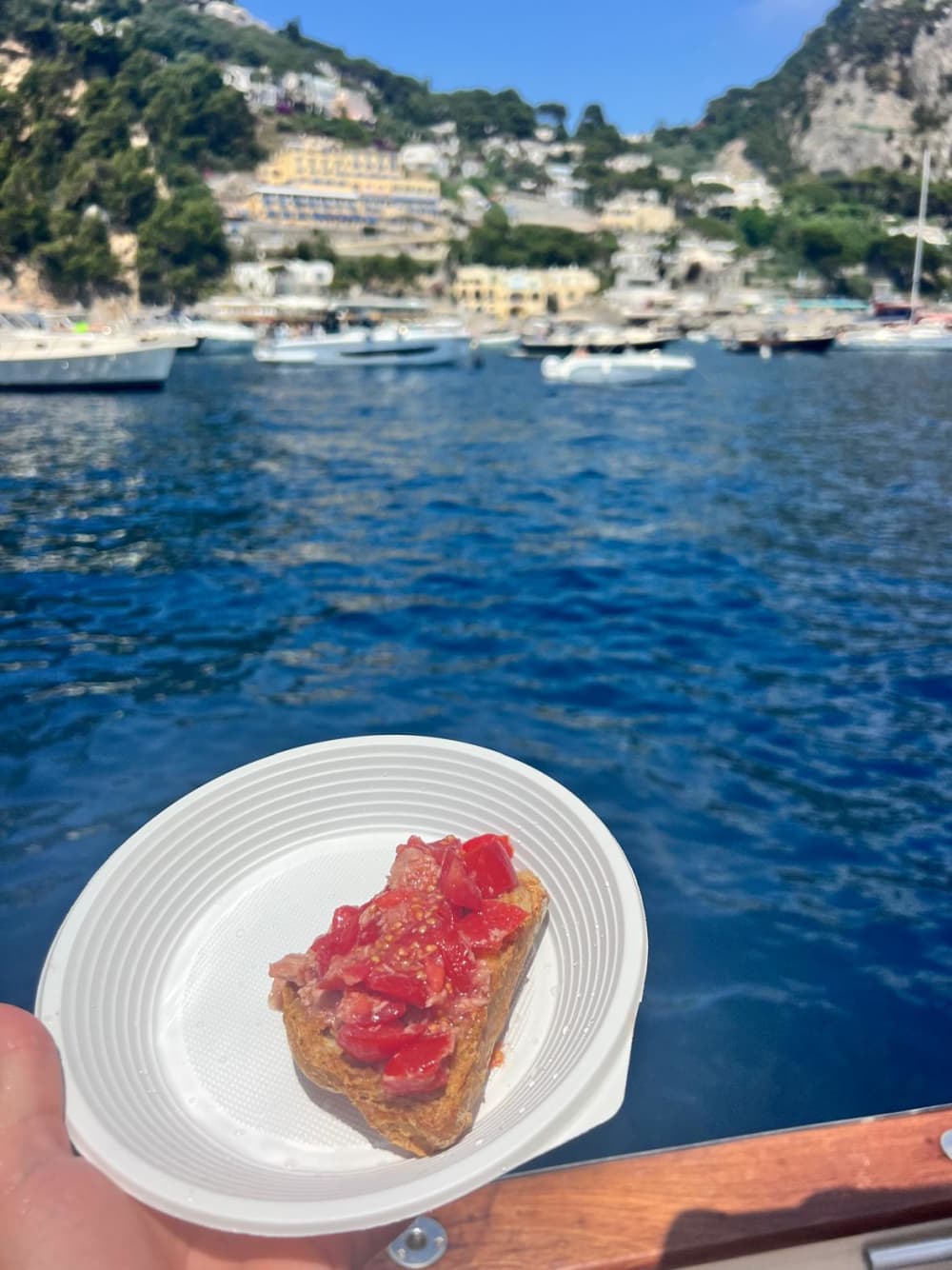 Utforska Capri eller Amalfikusten: Skräddarsydd rundtur