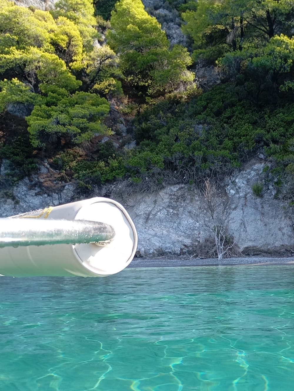 Discover Skiathos on a full-day trip on a motorboat