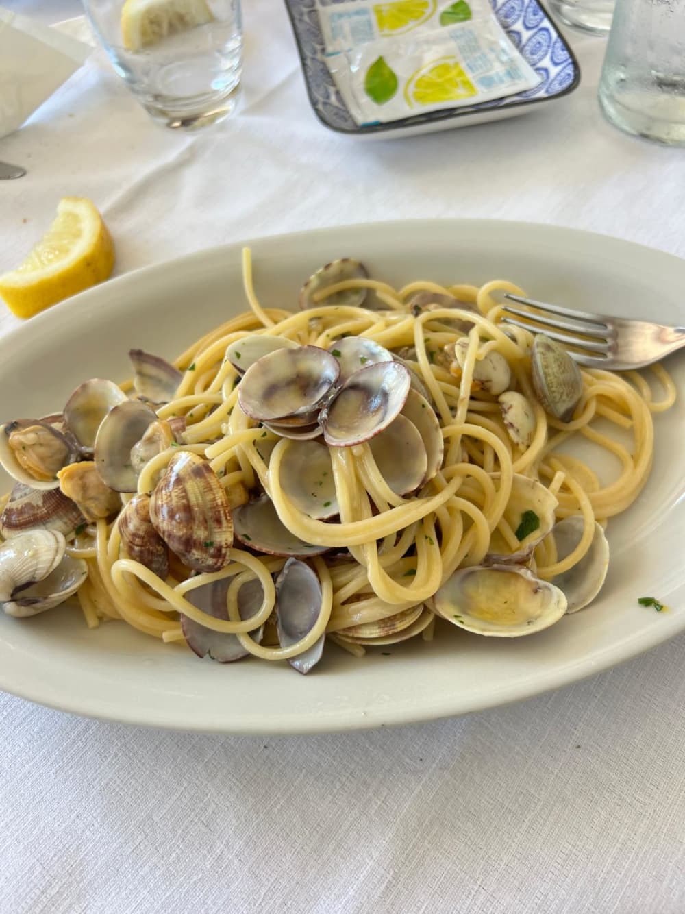 Från Capri till kusten: En exklusiv båtutflykt