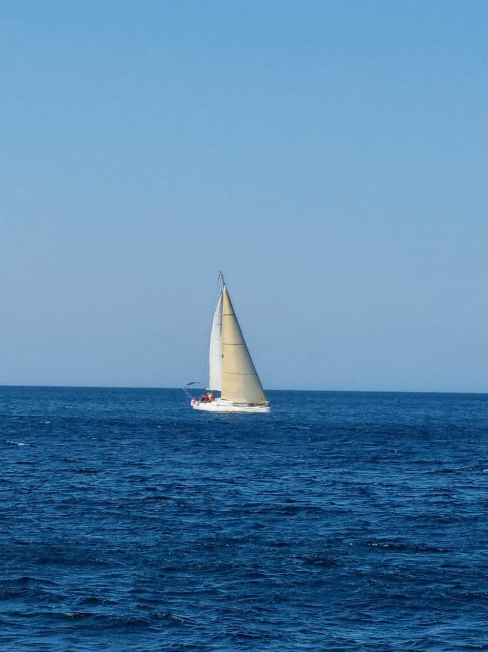 Traccia la rotta verso la gioia: una giornata intera di autentica navigazione a vela alle Bermeo a bordo di una barca a vela.