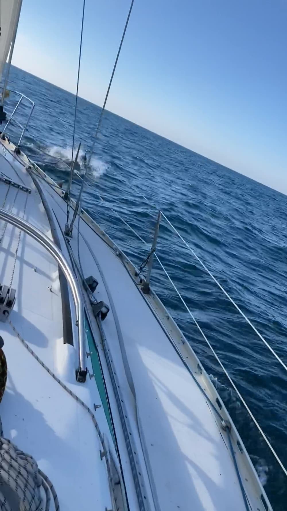 Traccia la rotta verso la gioia: una giornata intera di autentica navigazione a vela alle Bermeo a bordo di una barca a vela.