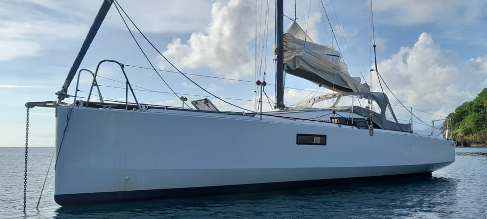 Excursion privée de 8 heures en voilier à Fort-de-France