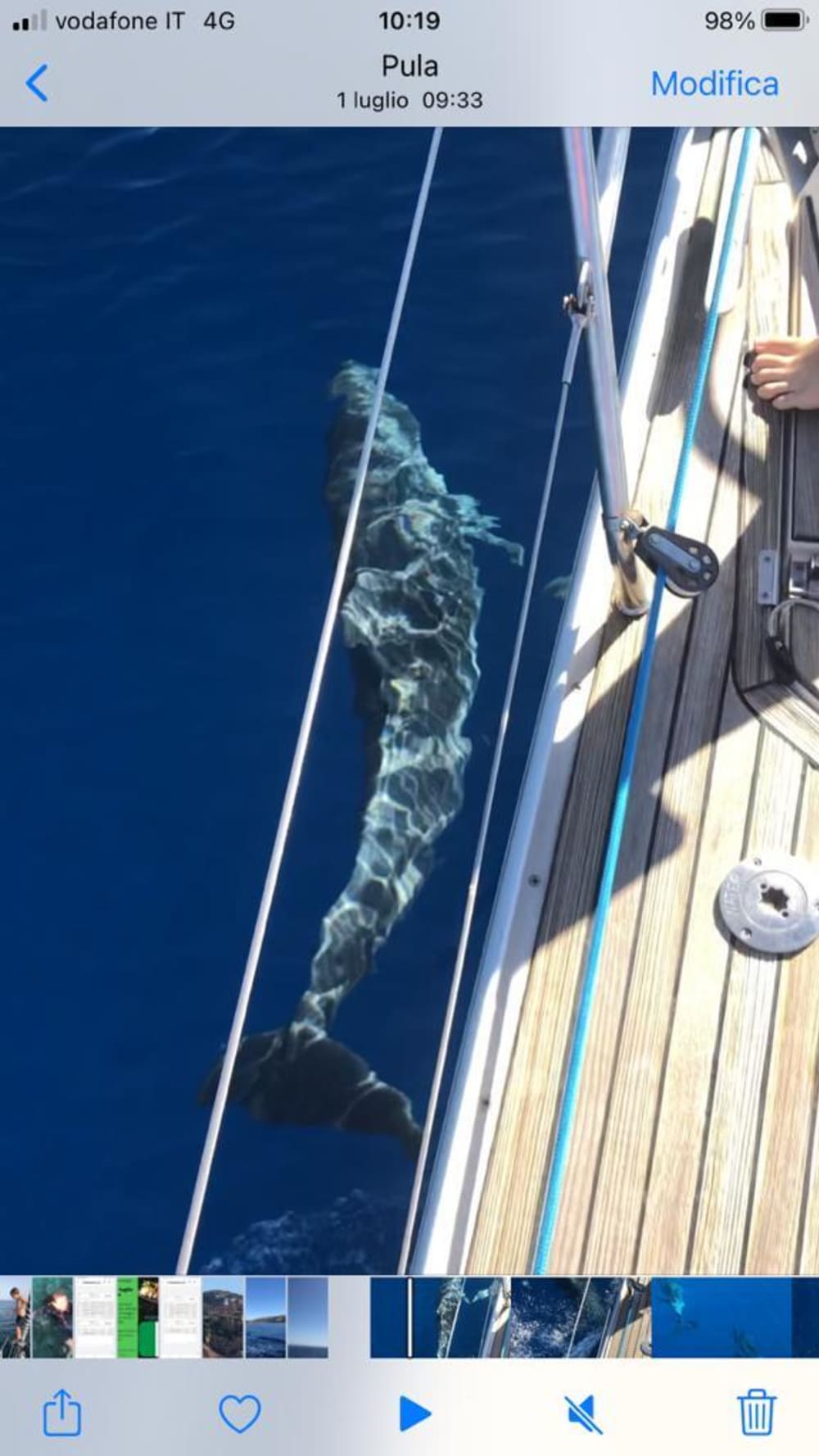 Excursion d'une journée en voilier à Marina di Grosseto
