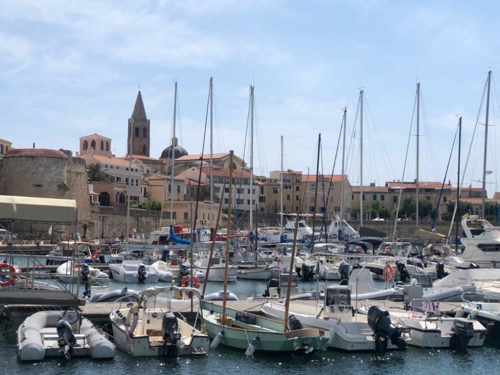 Full-day sailing trip in Marina di Grosseto on a sailboat