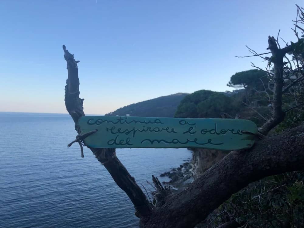 Full-day sailing trip in Marina di Grosseto on a sailboat