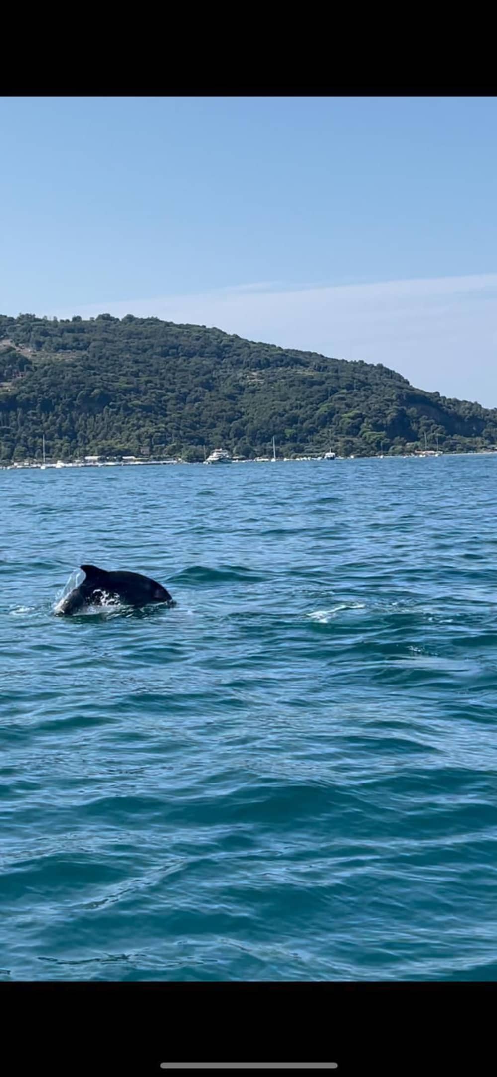 La tua barca a motore privata per una giornata alla scoperta di La Spezia.