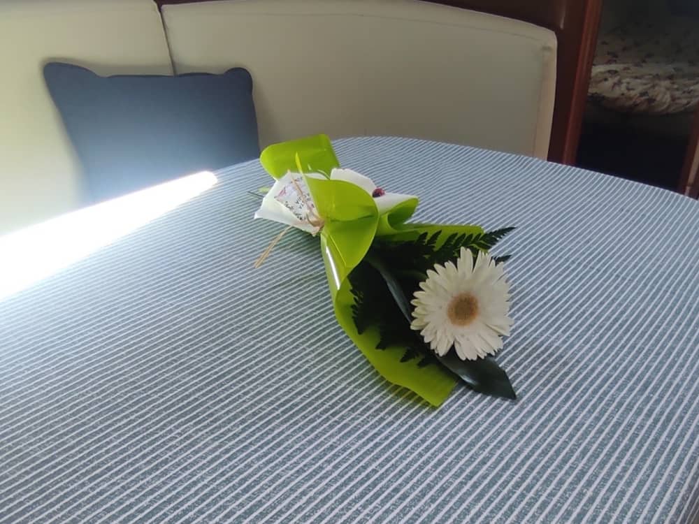 Pure sailing joy: Experience the magic of Cascais