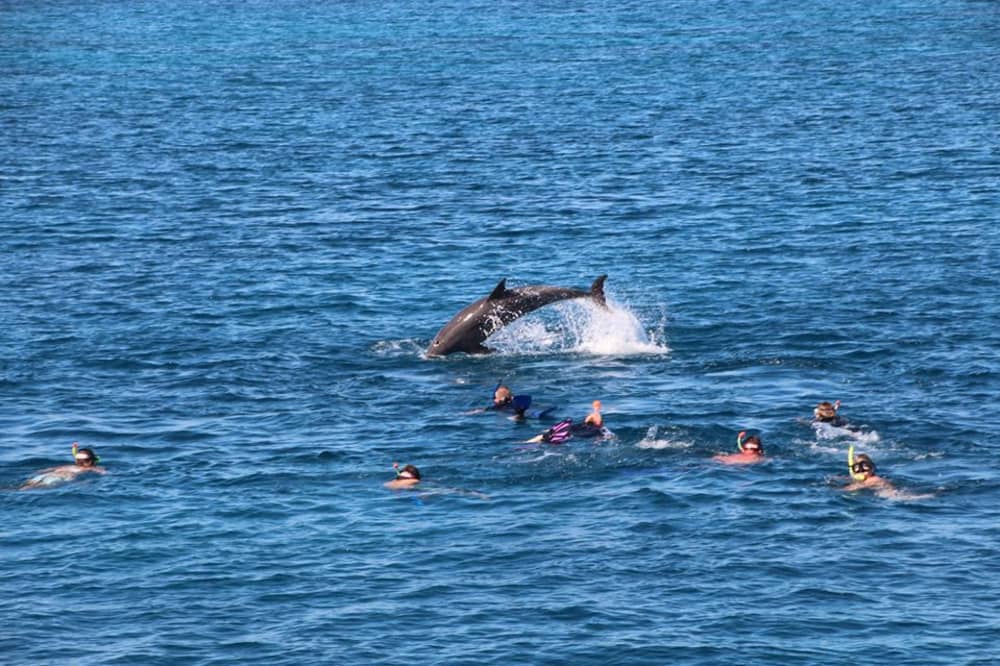 **Private Cruise from Hurghada – Snorkeling, Fishing & Magawish Island**