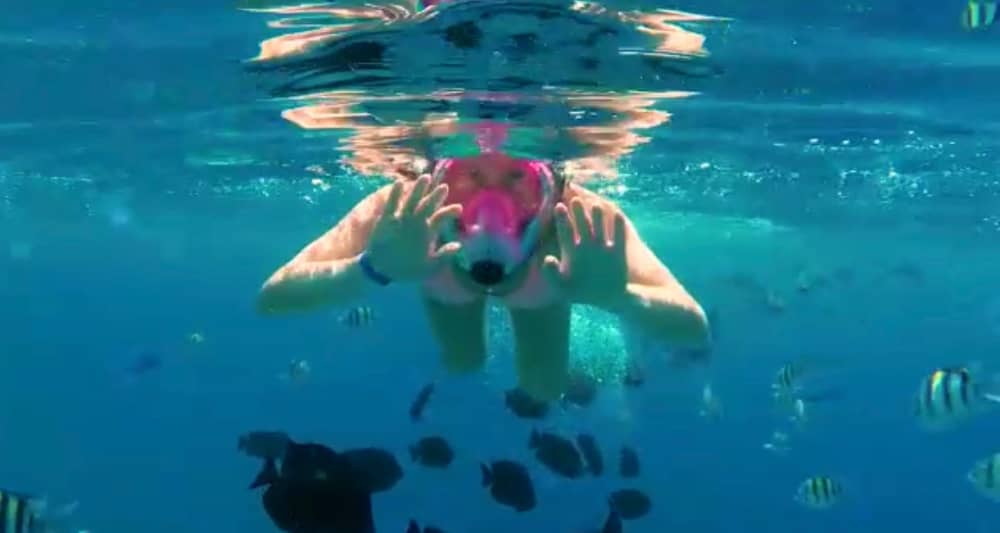 Full-day motorboat rental in Punta Cana