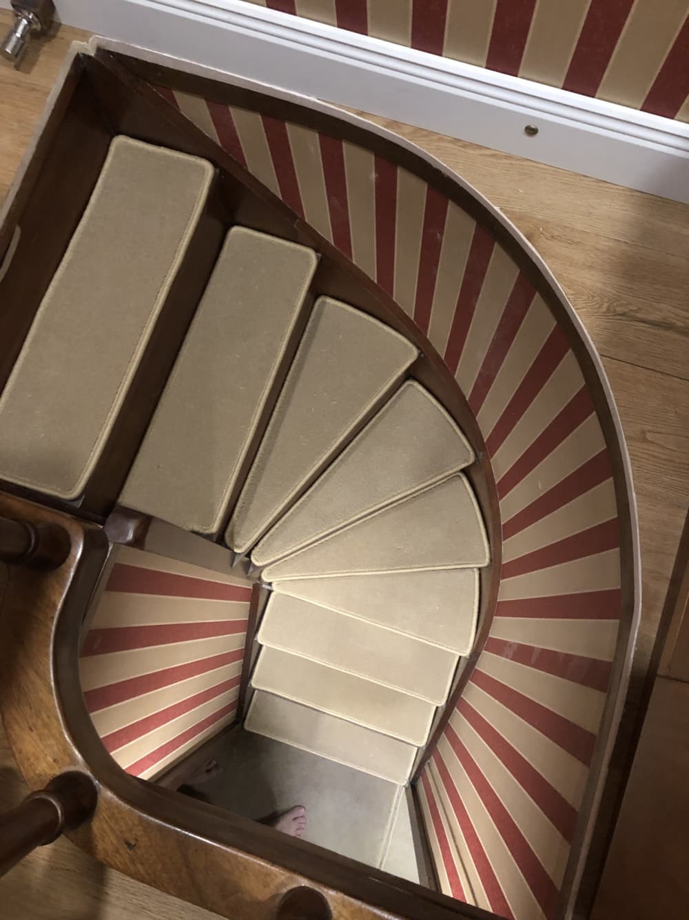 Concedetevi un momento di lusso a La Spezia trascorrendo un'intera giornata su uno yacht a motore.