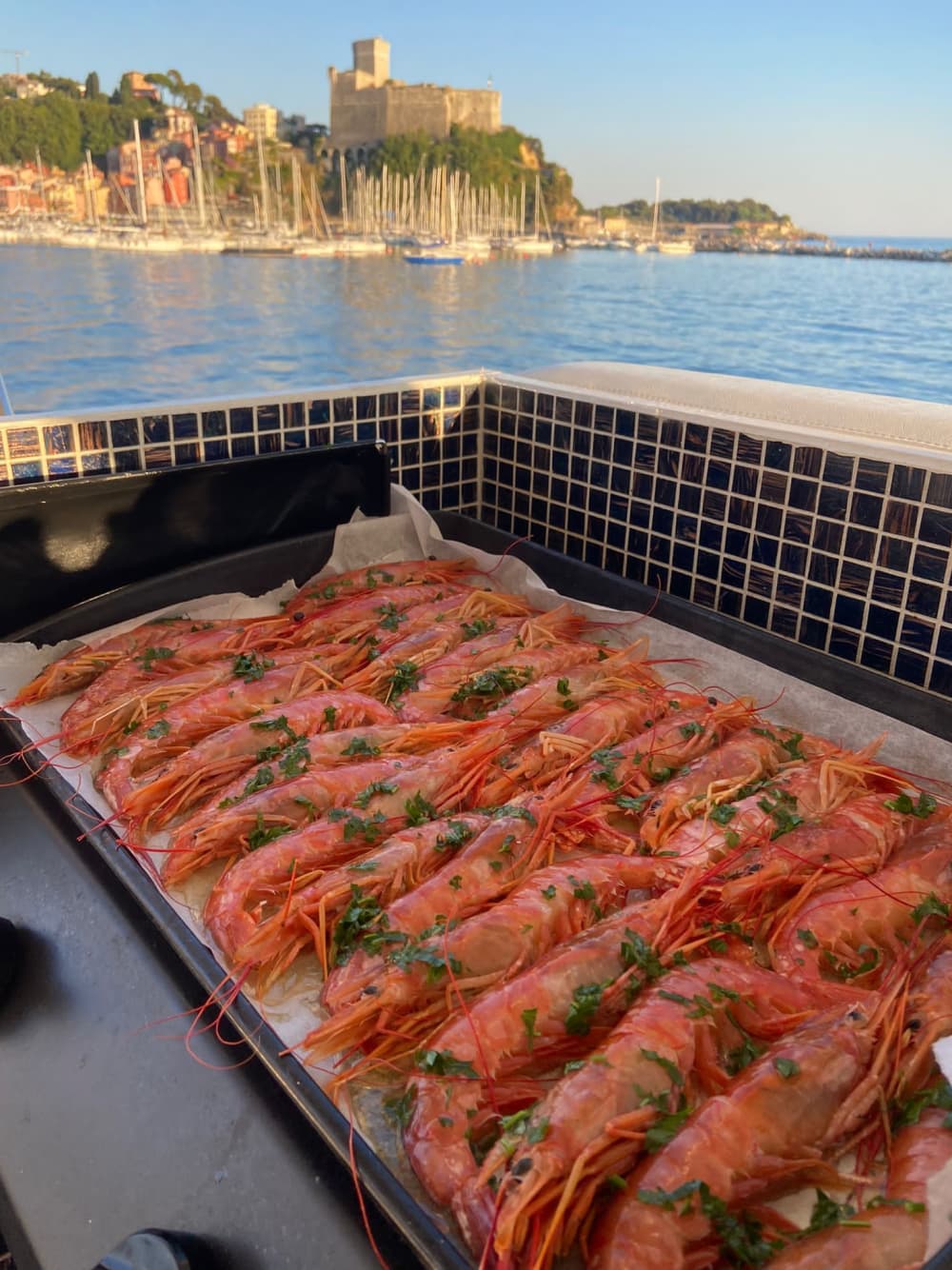 Concedetevi un momento di lusso a La Spezia trascorrendo un'intera giornata su uno yacht a motore.