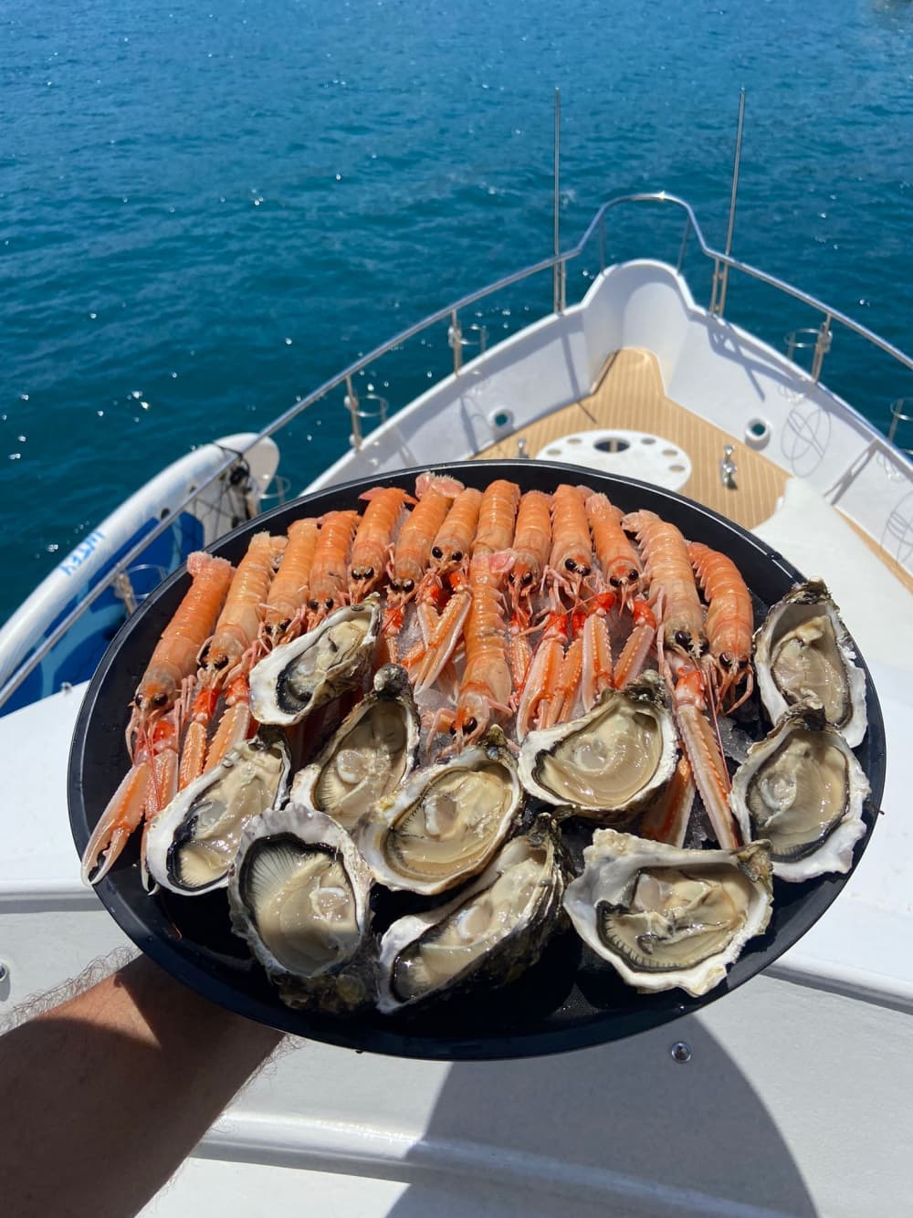 Concedetevi un momento di lusso a La Spezia trascorrendo un'intera giornata su uno yacht a motore.