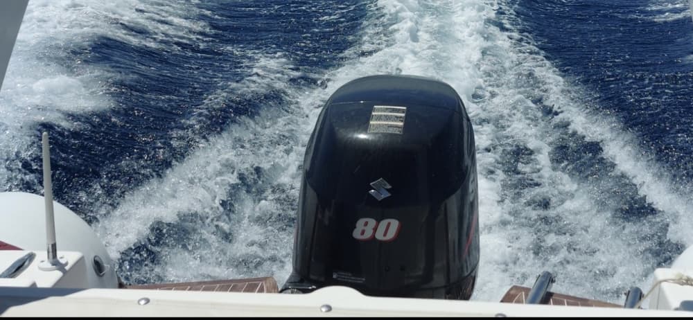 Scopri Mali Lošinj a bordo di una barca a motore per 9 ore.