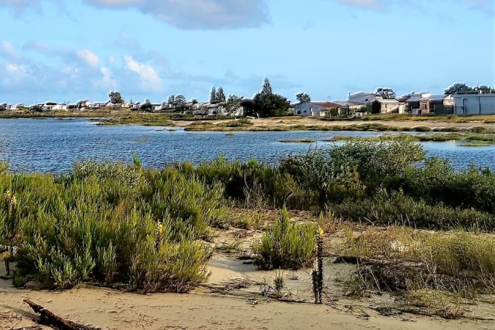 Rilassatevi con un'escursione in barca di 3 ore nella Ria Formosa.