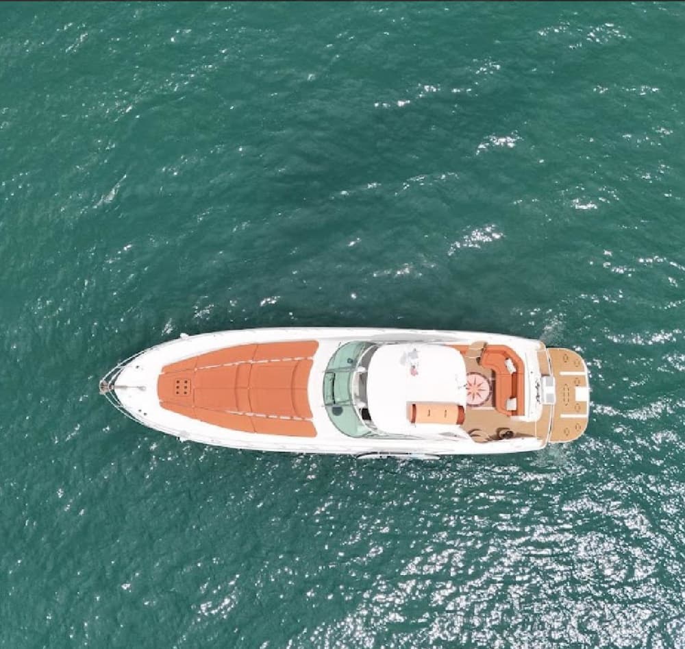 Un día mágico completo en Puerto Vallarta a bordo de una lancha motora.