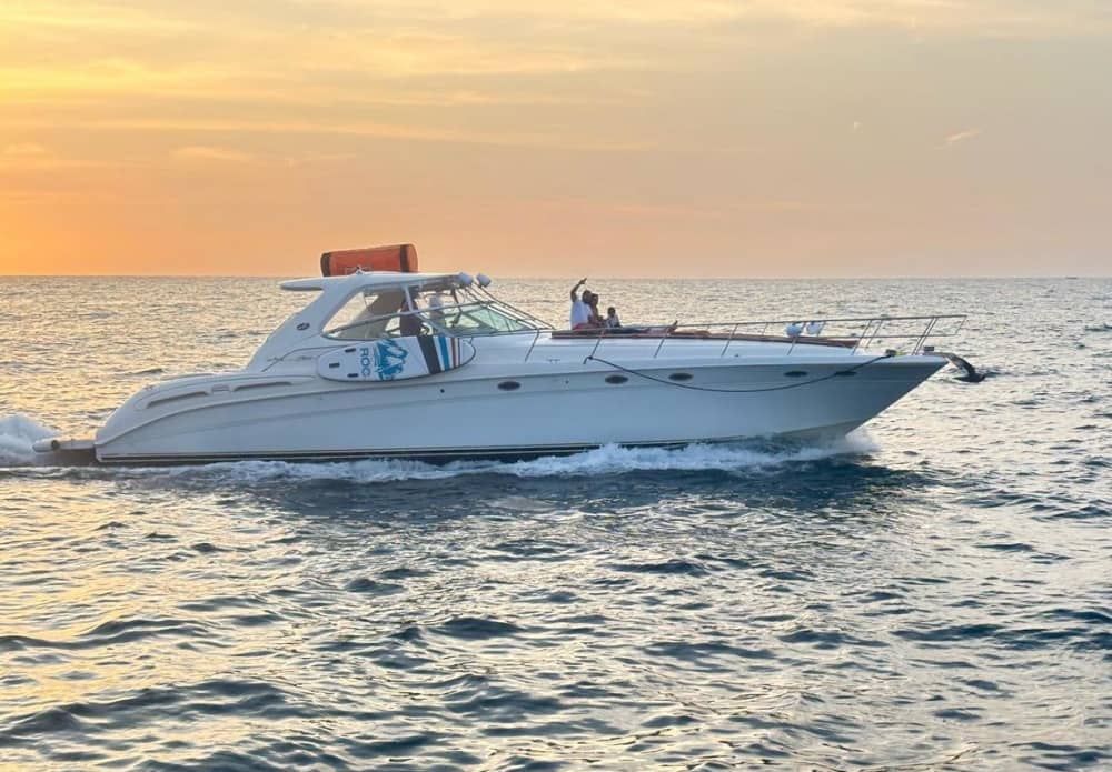 Un día mágico completo en Puerto Vallarta a bordo de una lancha motora.