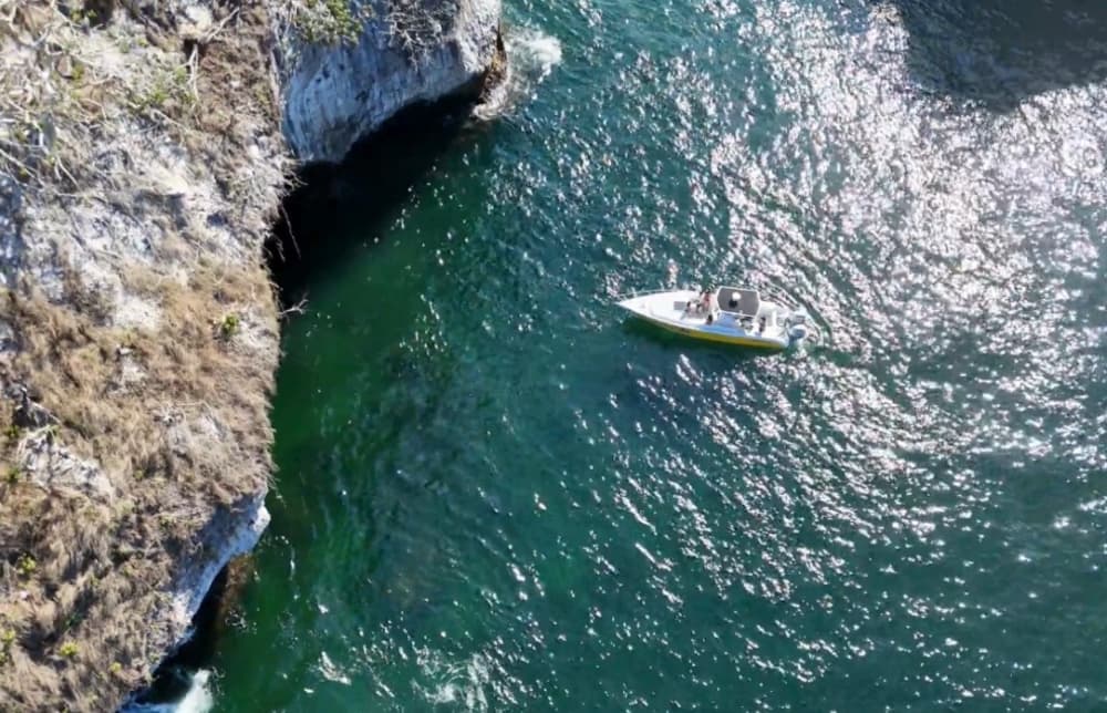 Enjoy 9h on a motorboat to explore Puerto Vallarta