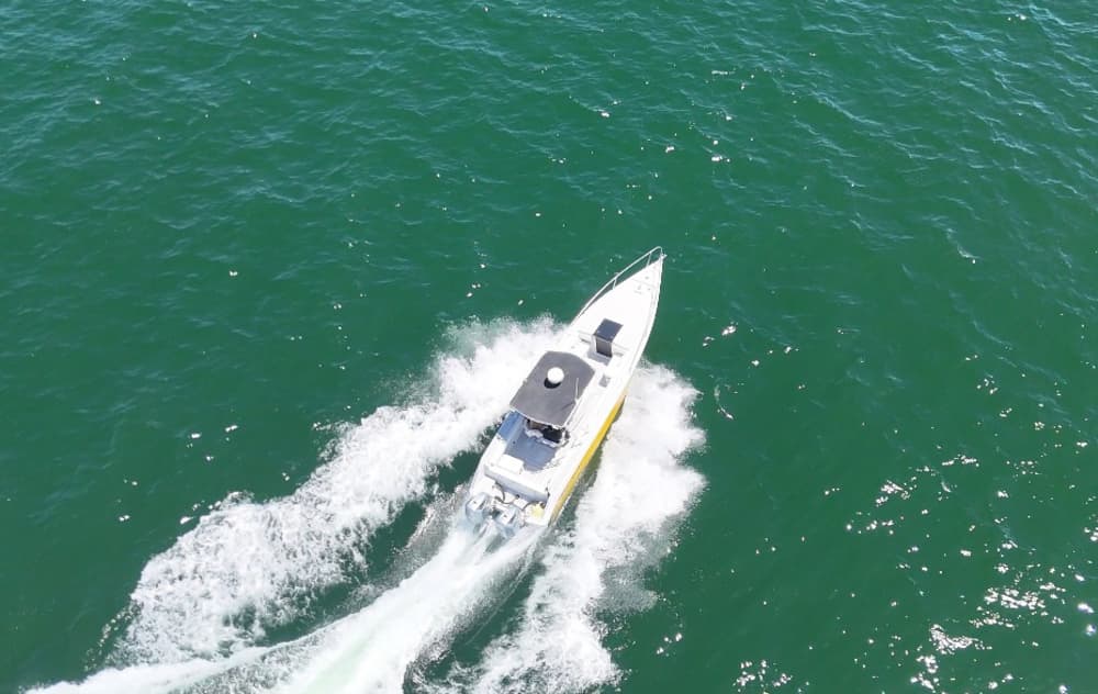 Enjoy 9h on a motorboat to explore Puerto Vallarta