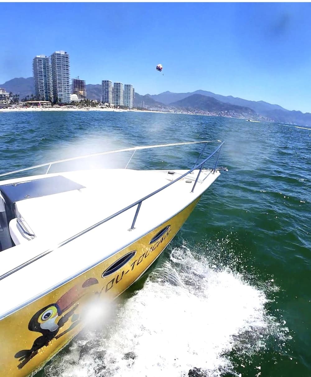 Enjoy 9h on a motorboat to explore Puerto Vallarta