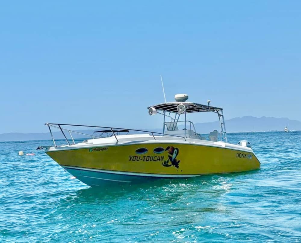 Enjoy 9h on a motorboat to explore Puerto Vallarta