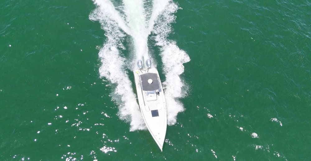 Enjoy 9h on a motorboat to explore Puerto Vallarta