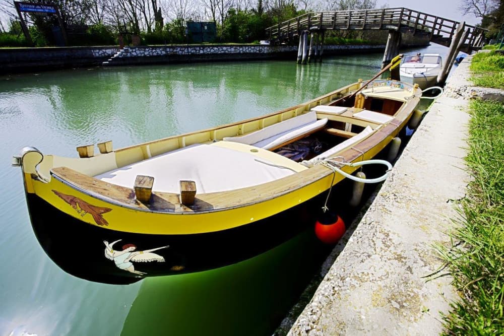 Escursione di mezza giornata a Venezia in motoscafo.