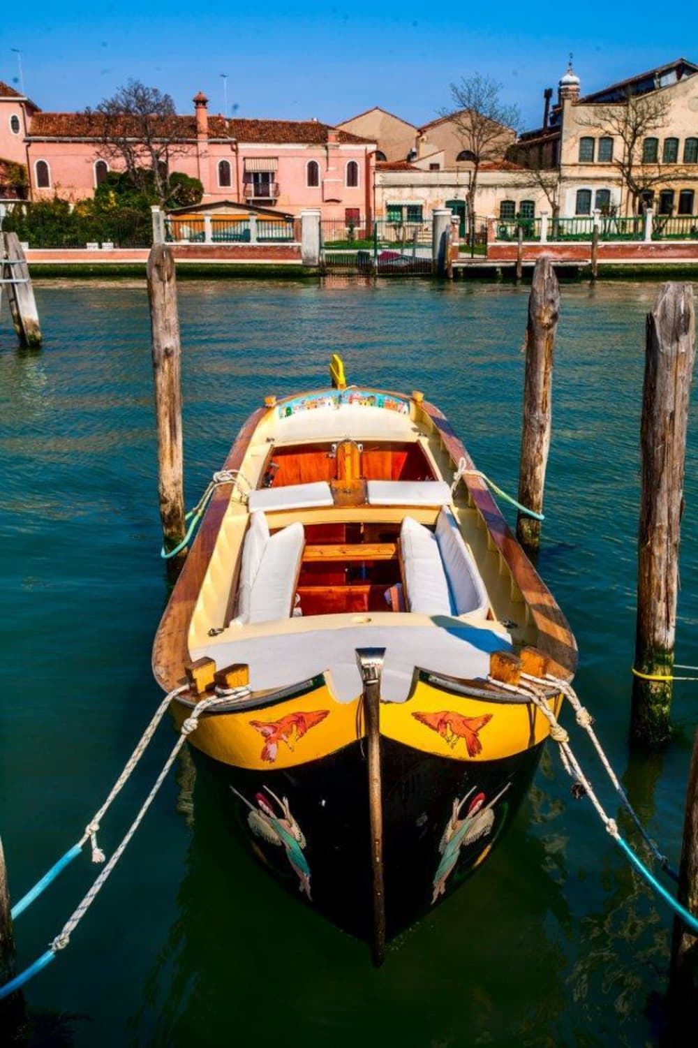 Escursione di mezza giornata a Venezia in motoscafo.