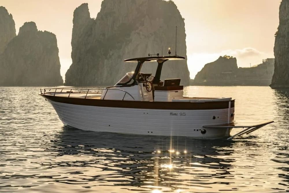 Full-day Capri excursion on Gozzo