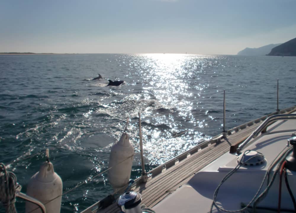 Nas Águas Selvagens – 5 Horas ao Longo de Aravide