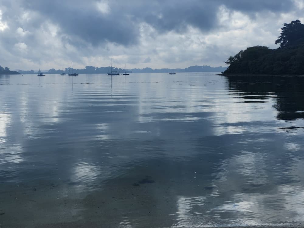 Traccia la rotta verso la gioia: una giornata intera di autentica navigazione a vela ad Arzon su una barca a vela.
