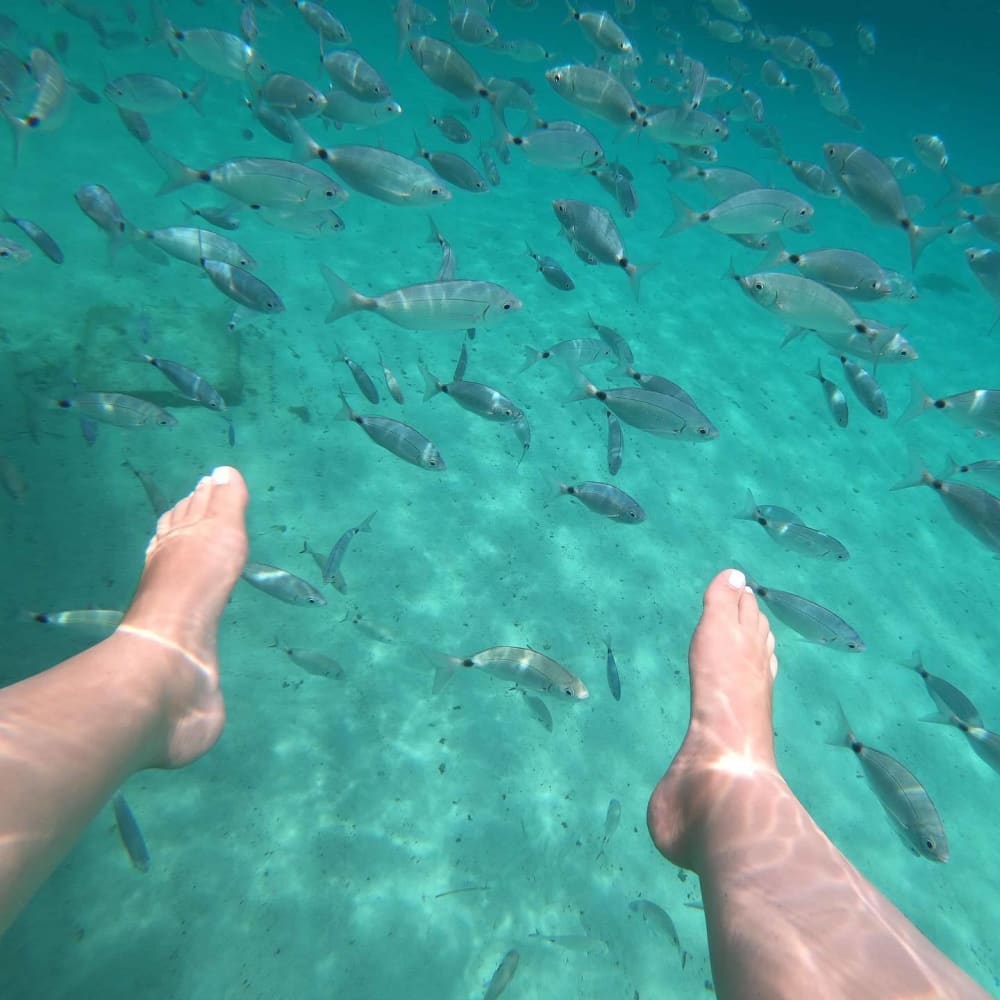 Mer, amour et soleil : une journée riche en émotions à bord d'un catamaran