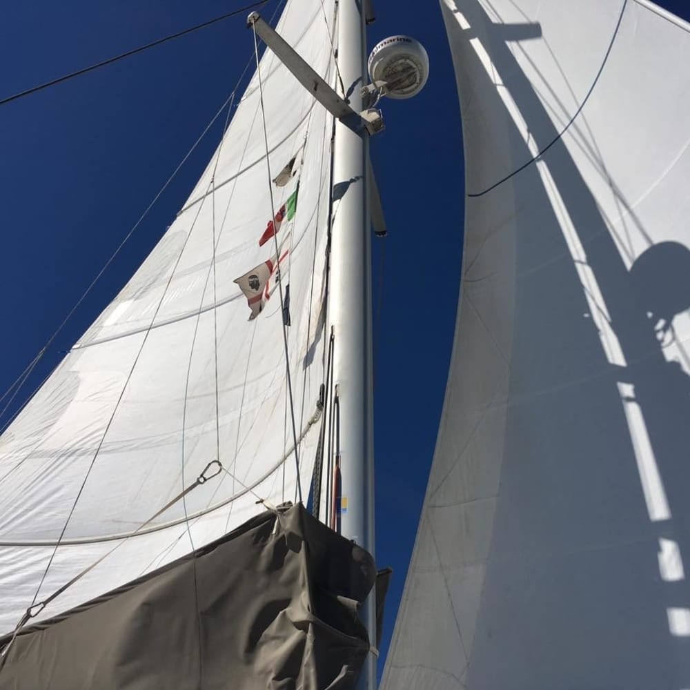 Mer, amour et soleil : une journée riche en émotions à bord d'un catamaran