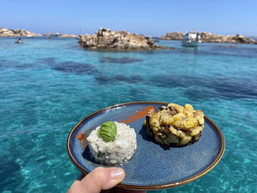 Mer, amour et soleil : une journée riche en émotions à bord d'un catamaran