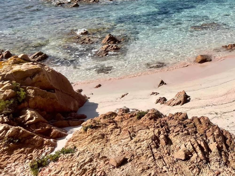 Mer, amour et soleil : une journée riche en émotions à bord d'un catamaran