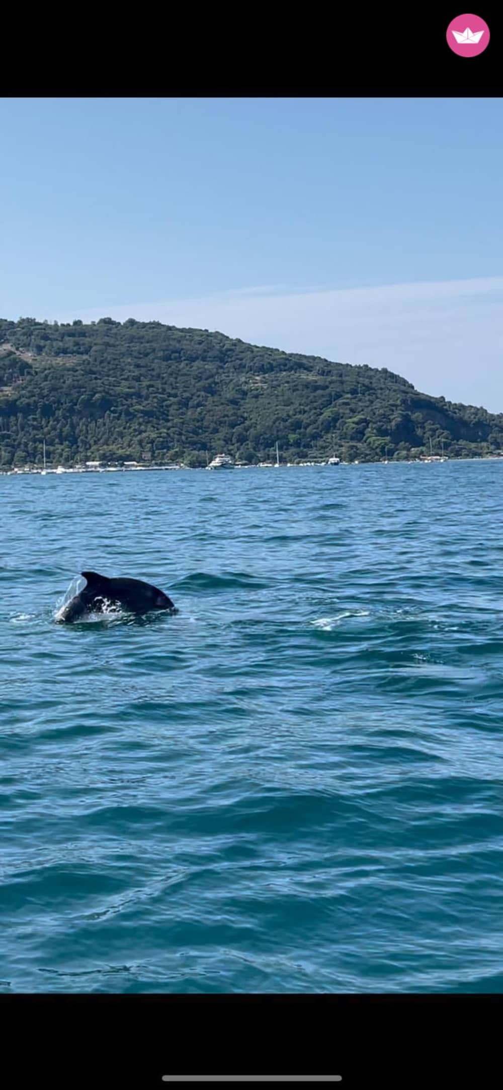 Exploring the Cinque Terre: Private Boat Tour from Portovenere
