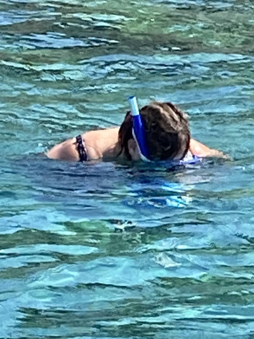 Ontdek Blue Lagoon - Privé