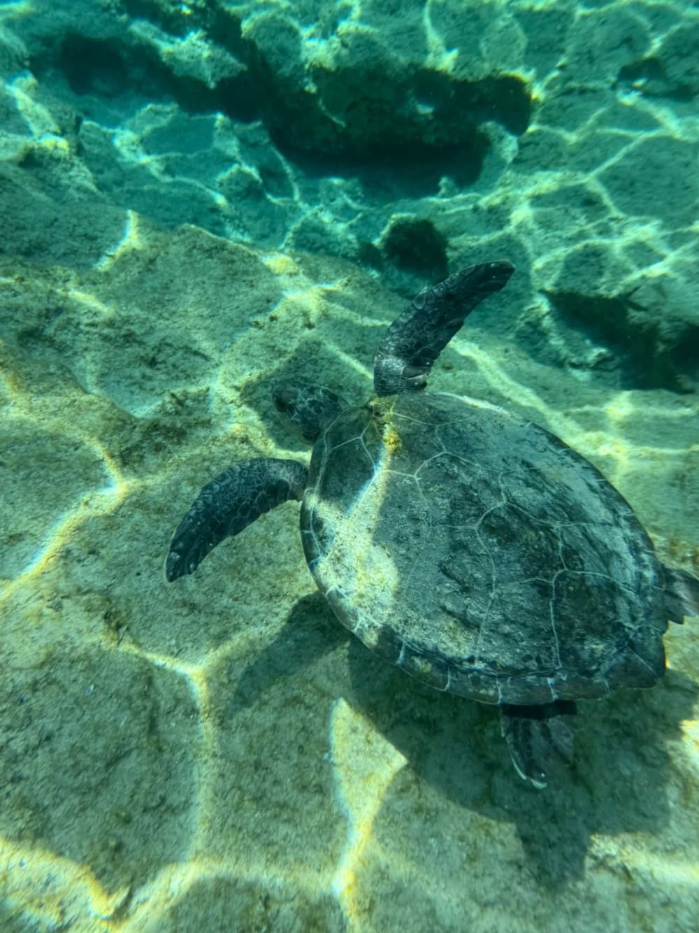 AXOPAR 25 - Gemas de Lindos - Privado