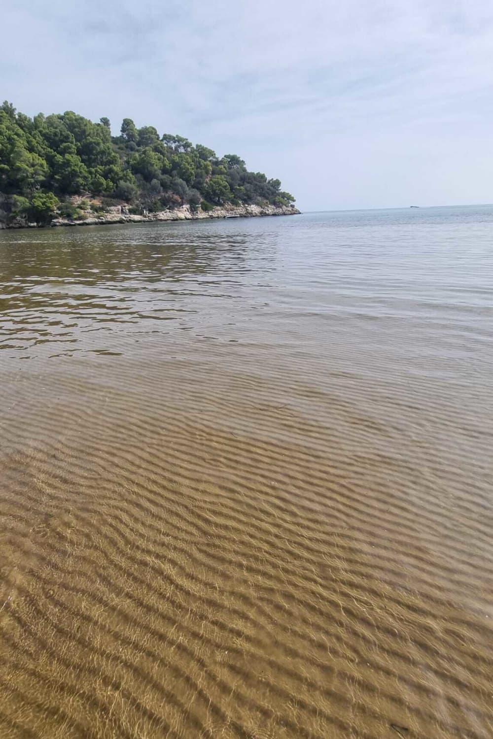 Scopri le coste di Vieste: un'escursione di un'intera giornata a bordo di un motoscafo.