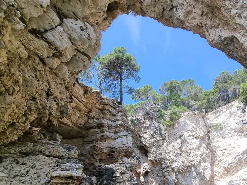 Scopri le coste di Vieste: un'escursione di un'intera giornata a bordo di un motoscafo.