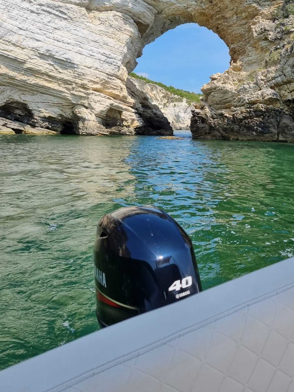 Scopri le coste di Vieste: un'escursione di un'intera giornata a bordo di un motoscafo.