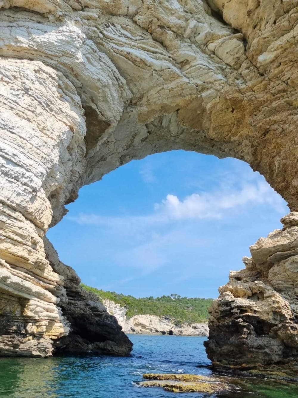 Scopri le coste di Vieste: un'escursione di un'intera giornata a bordo di un motoscafo.