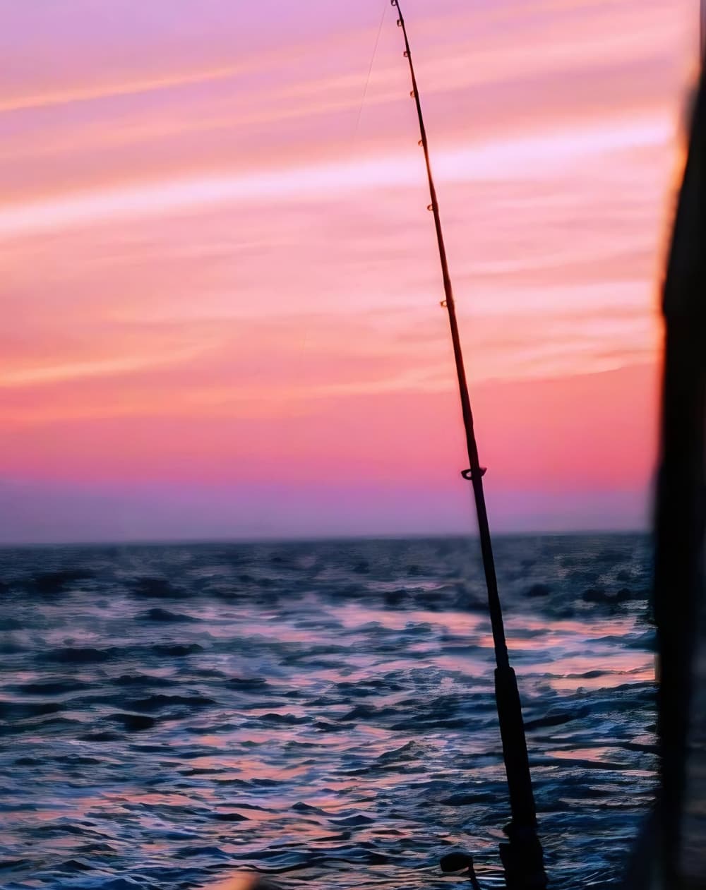 3,5 uur om Budva te verkennen per motorboot.