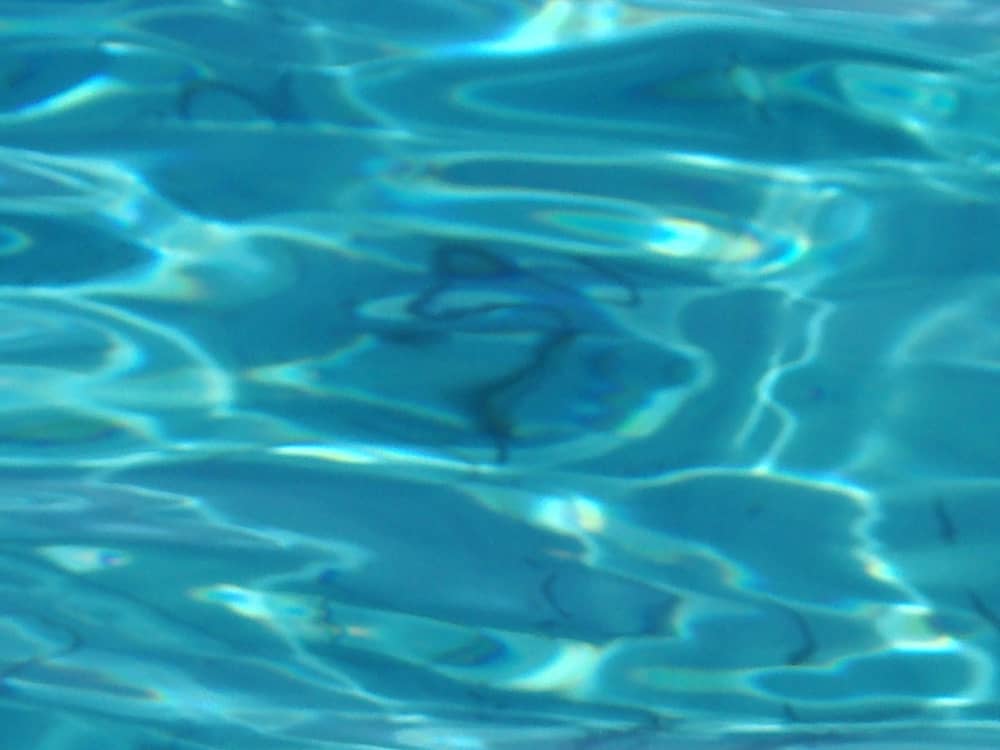 Relájate en Calvi: 9 horas de sol en un yate a motor.