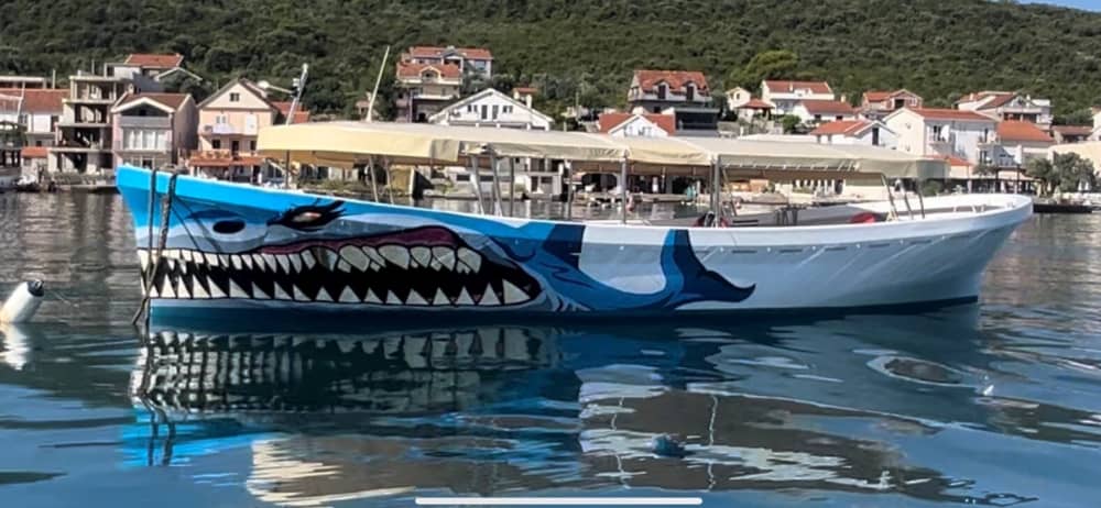 Esplora Tivat in mezza giornata: noleggia una barca a motore per 2 ore e 30 minuti.