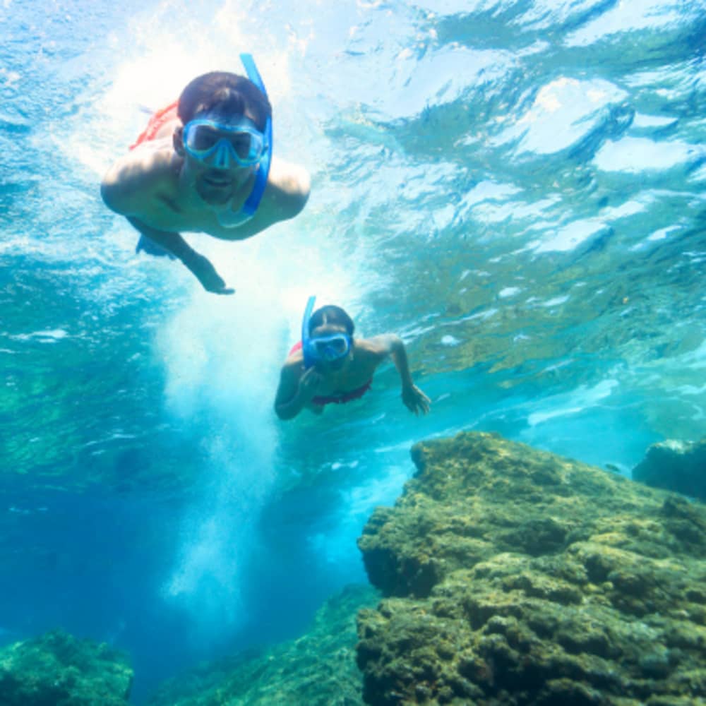 Escape & Snorkeling: The Sustainable Catamaran Adventure