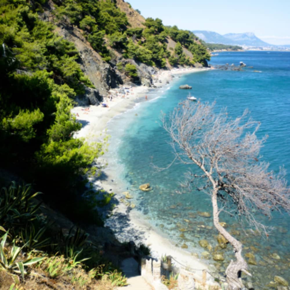 Escape & Snorkeling: The Sustainable Catamaran Adventure
