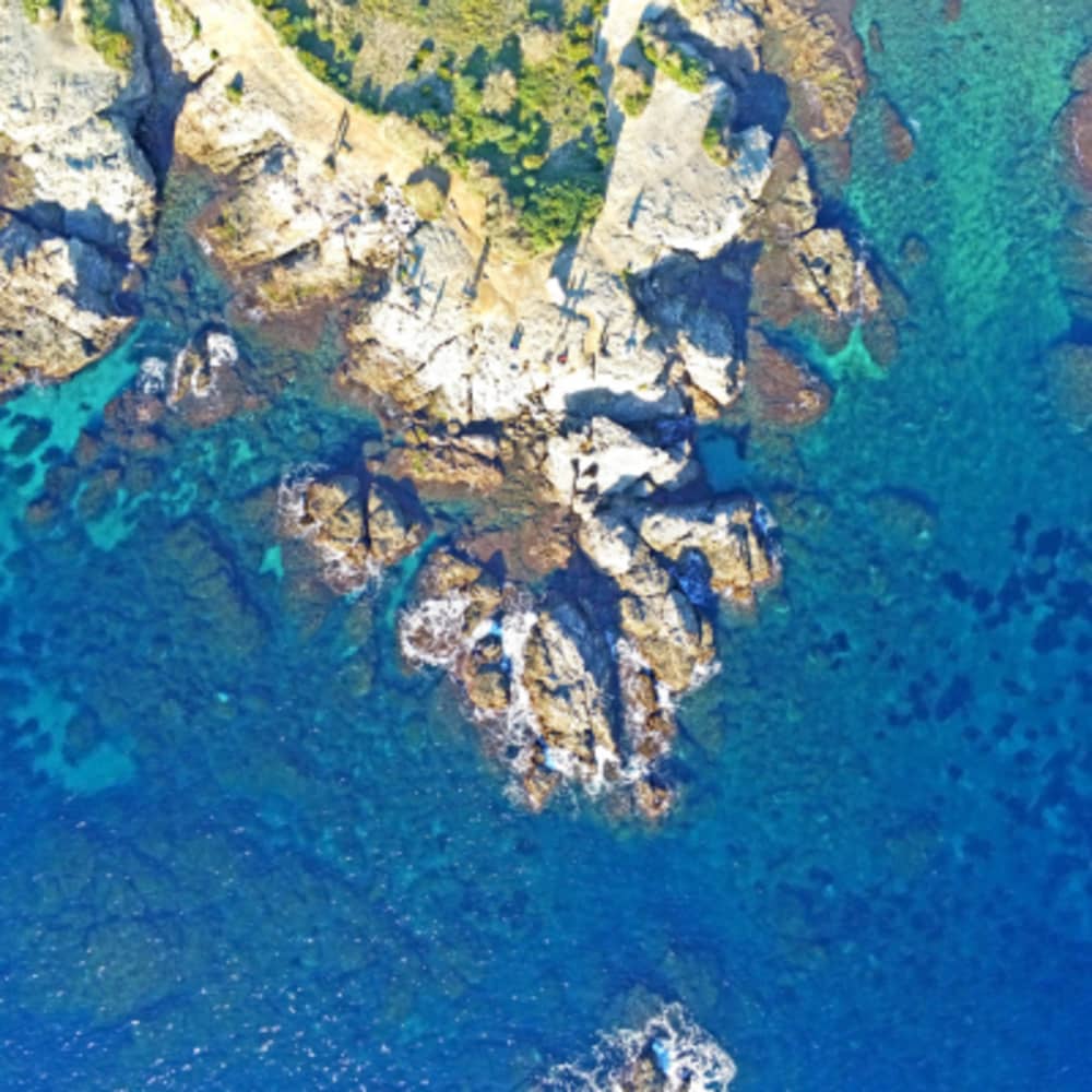 Escape & Snorkeling: The Sustainable Catamaran Adventure