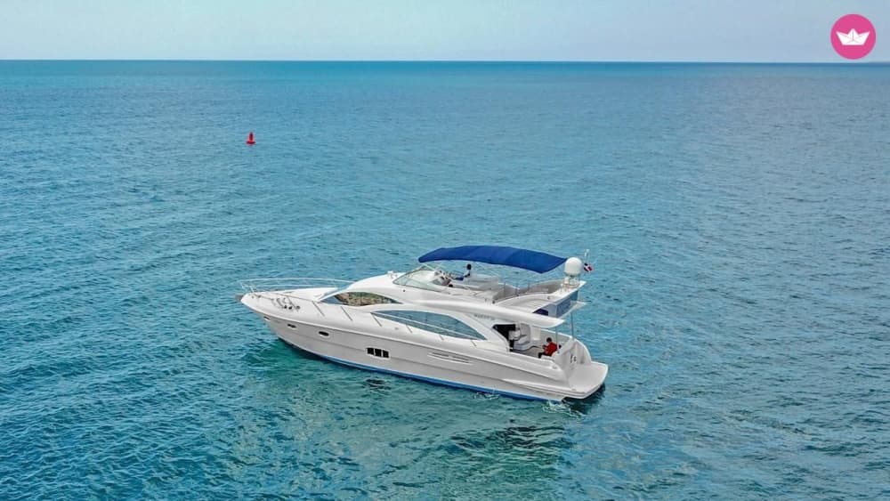 Luxury and Adventure: Full Day Private Cruise